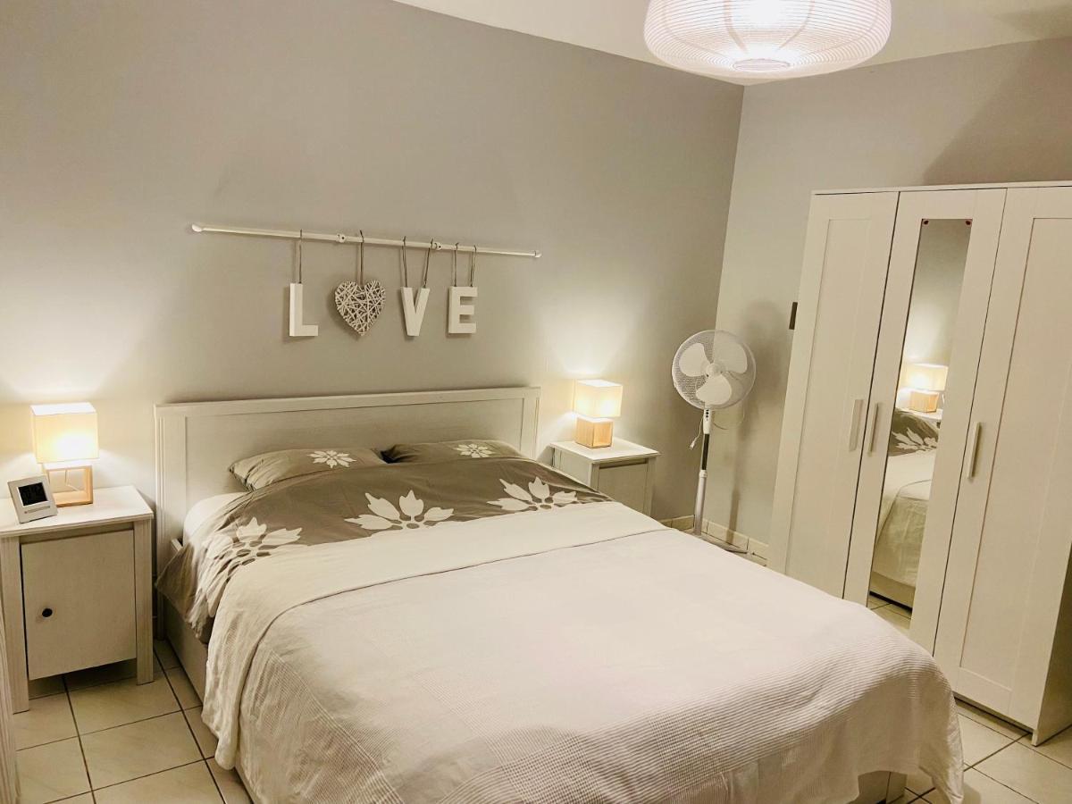 Sweet Home - 55M2 Appartment, Garden, Swimming Pool, Parking Тулуза Экстерьер фото