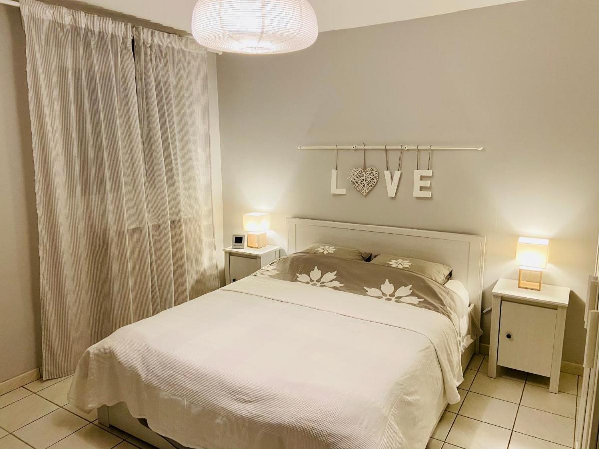 Sweet Home - 55M2 Appartment, Garden, Swimming Pool, Parking Тулуза Экстерьер фото