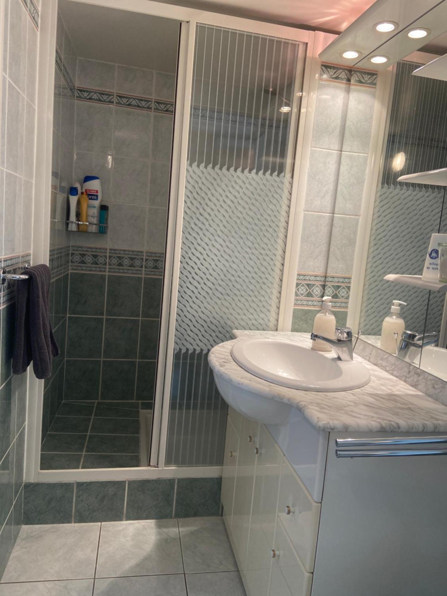 Sweet Home - 55M2 Appartment, Garden, Swimming Pool, Parking Тулуза Экстерьер фото